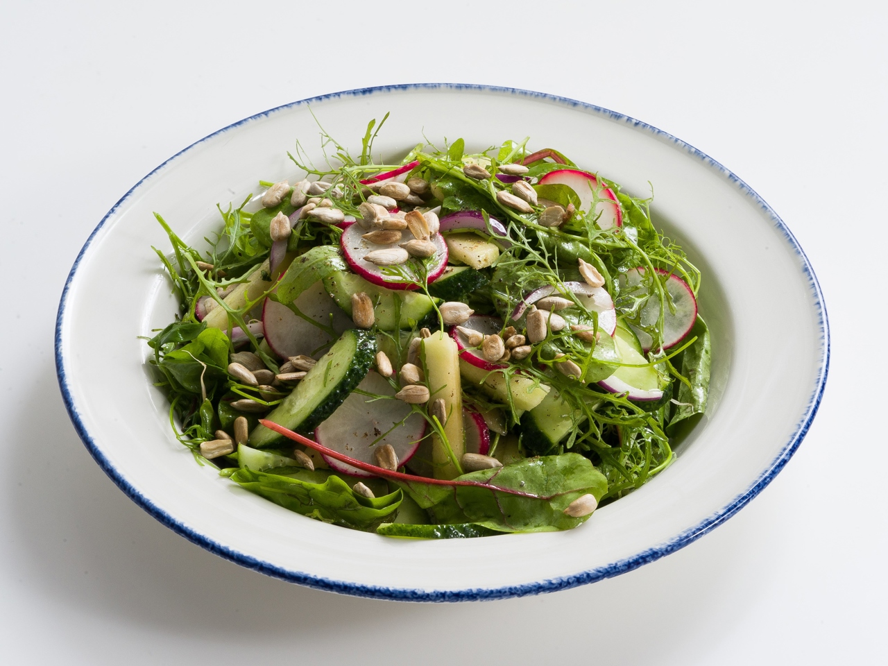 Garden Salad
