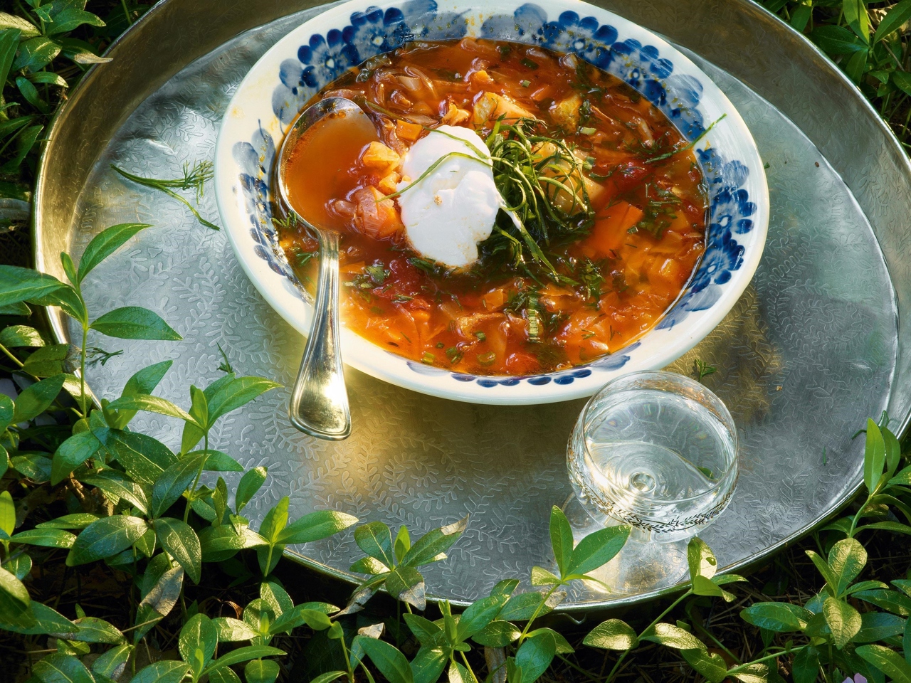 Щи из молодой капусты с побегами чеснока