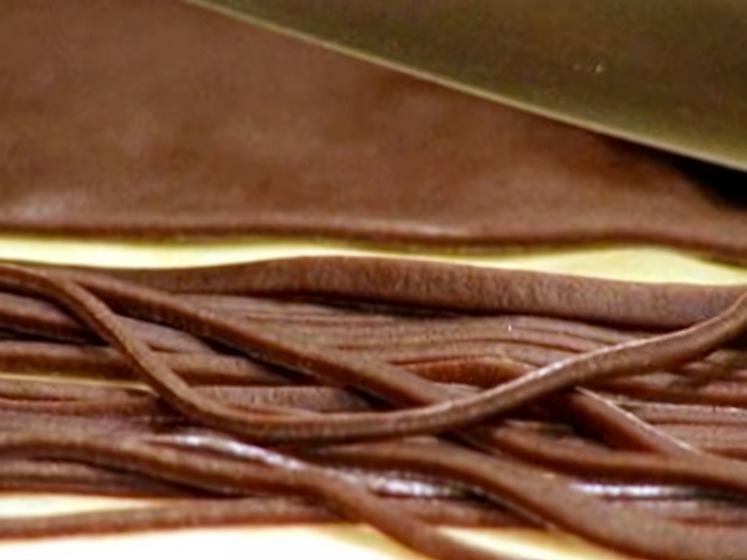 Chocolate Spaghetti with Cream and Honey Sauce
