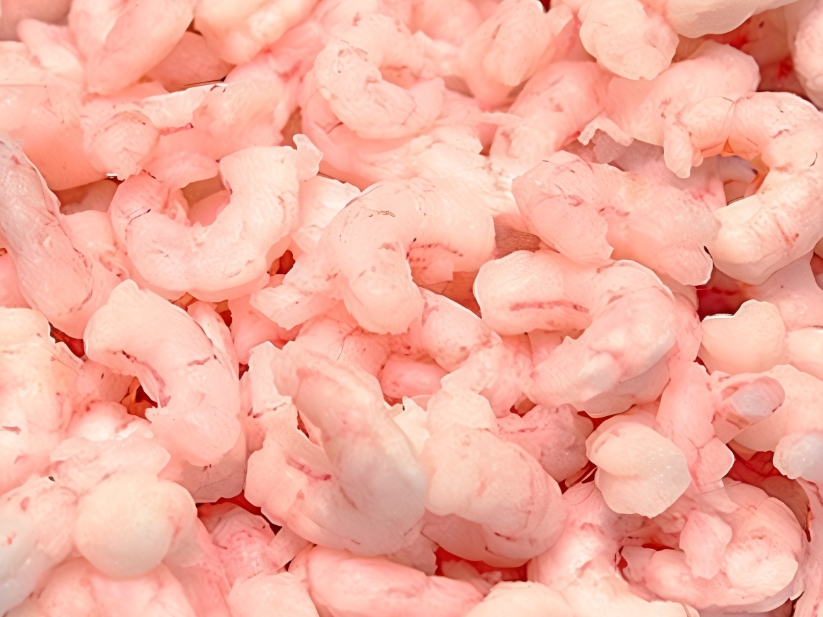 Creamy Shrimp Sauce with Mint