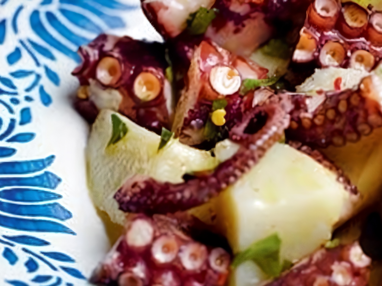Mediterranean Octopus Salad
