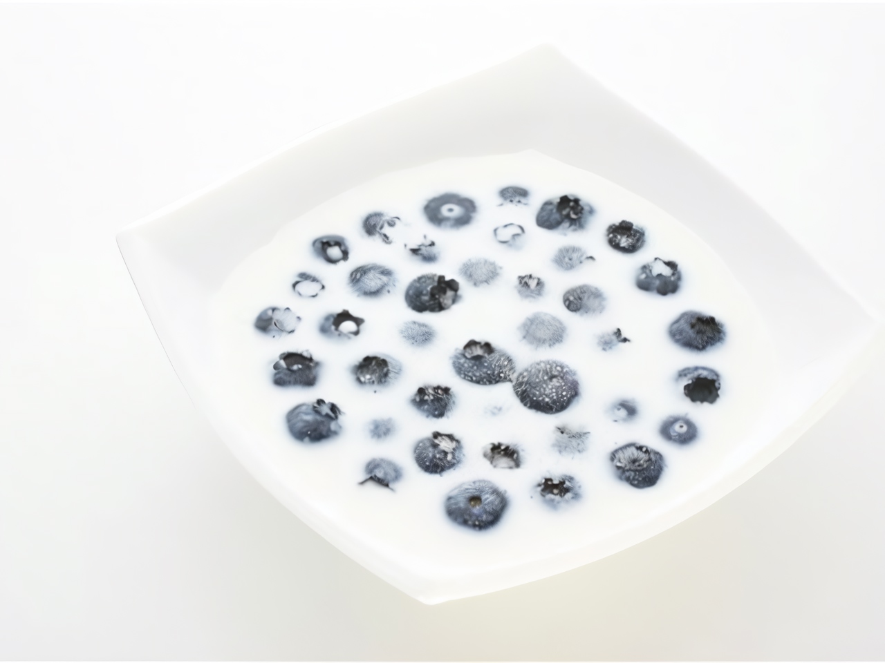 Black Berry Soup