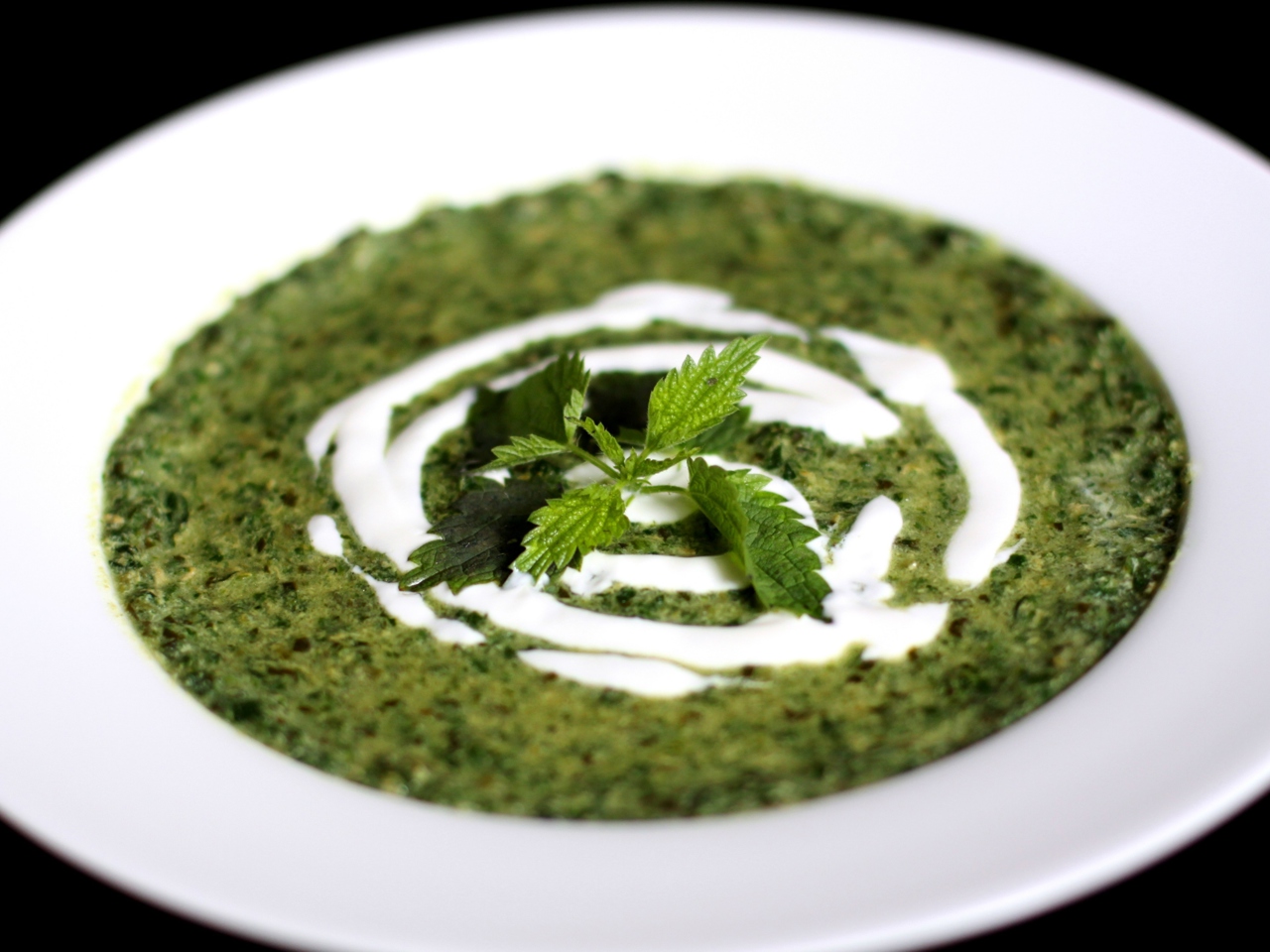 Nettle and Sorrel Soup