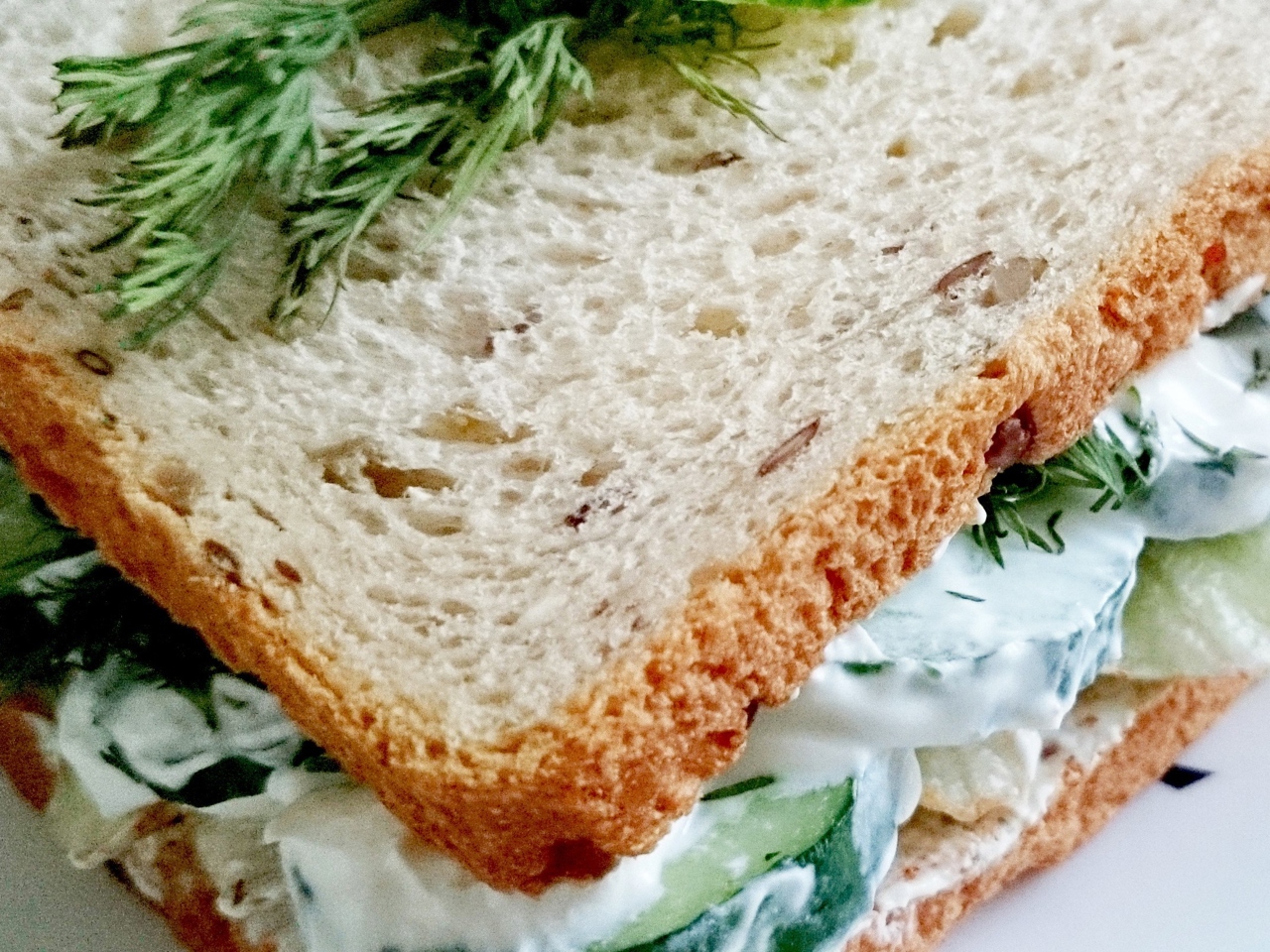 Fresh Sandwich with Herbs and Cucumber