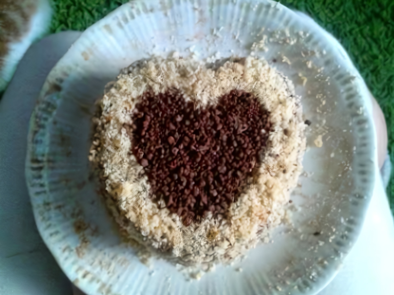 Cake with Chocolate Cream