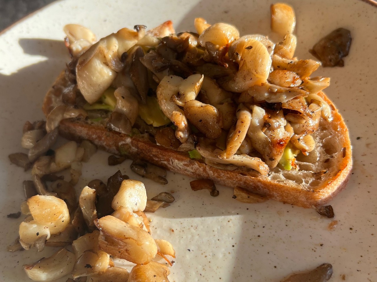 Mushroom Toast for Breakfast