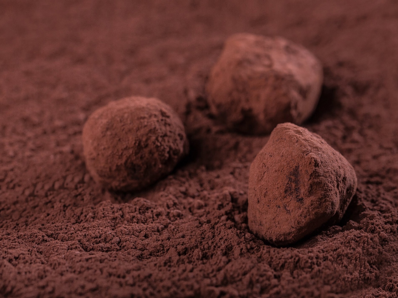 Dark Chocolate Truffles with Liqueur