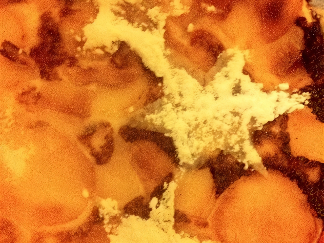 Cottage Cheese Casserole with Apples and Raisins