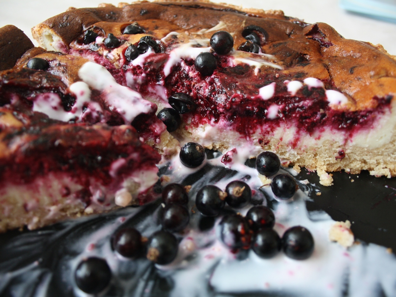Cottage Cheese Pie with Black Currants