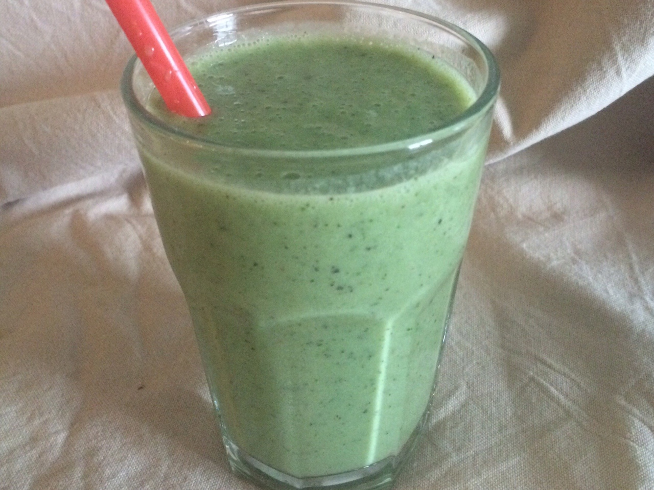 Vanilla Kiwi and Melon Smoothie