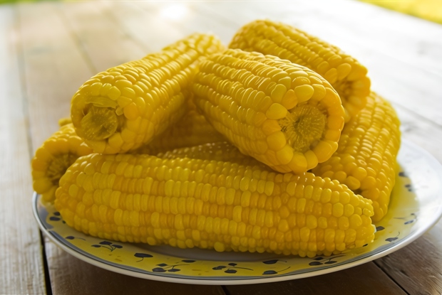 Отварная кукуруза в початках