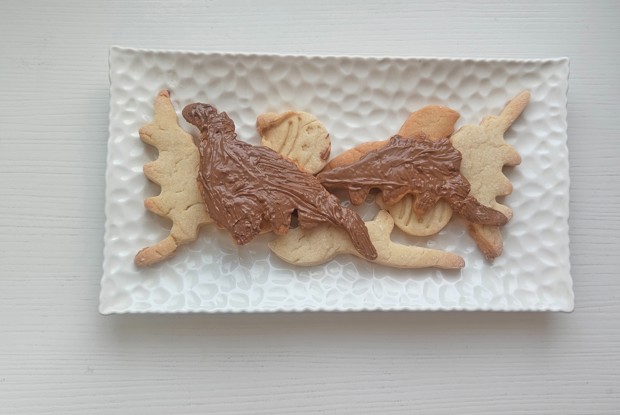 Печенье домашнее с шоколадом для детей