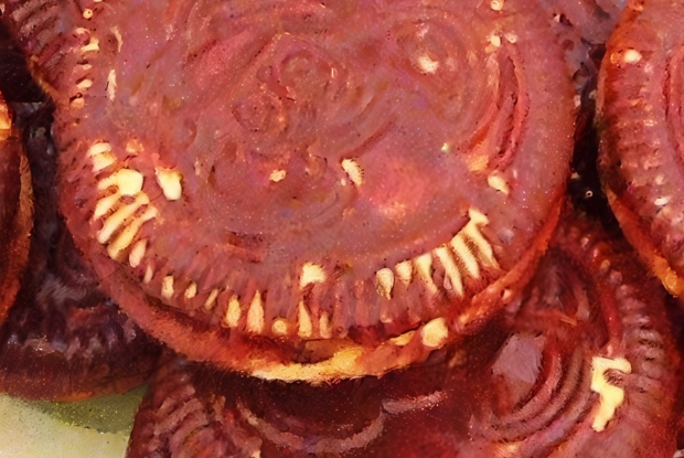 Печенье с маршмеллоу в шоколаде (Wagon wheels)