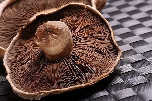 Сушеные грибы в маринаде
