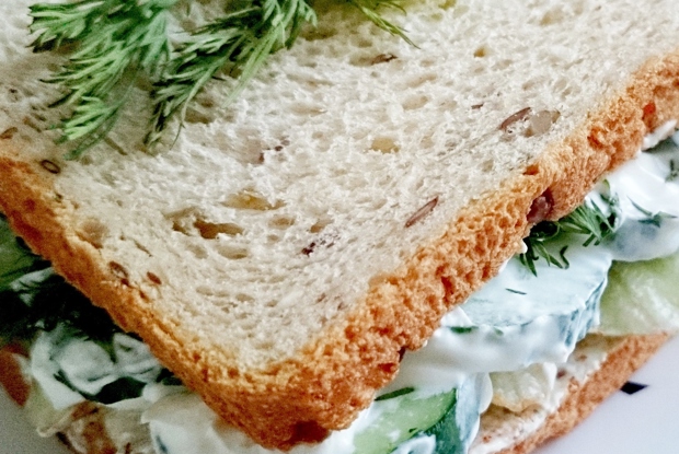 Свежий сэндвич с зеленью и огурцом