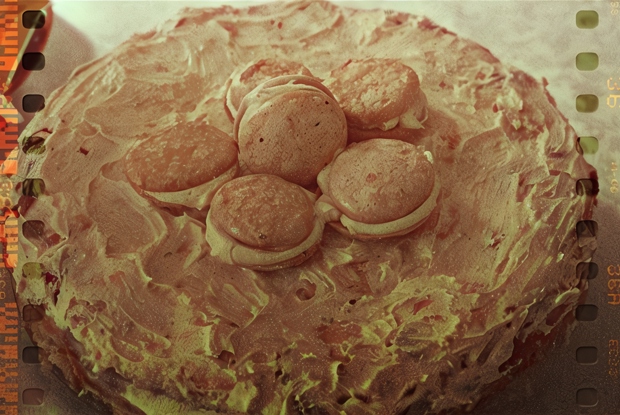 Торт с творожным кремом и меренгами