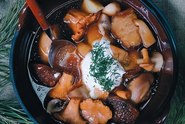 Вятская губница — традиционный суп из сезонных грибов
