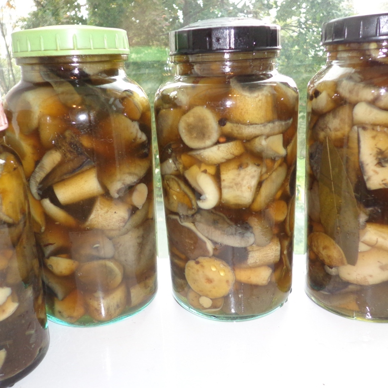 Заготовки из грибов на зиму - рецепты с фото на l2luna.ru ( рецепта заготовок из грибов)