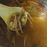 Фотография рецепта Быстрый грибной суп автор Татьяна Петрухина