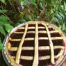 Фотография рецепта Быстрый ягодный пирог с вареньем автор Маша Анищенко