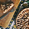 Фотография рецепта Яблочный тарт с корицей автор Доценко Юлия
