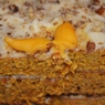 Фотография рецепта Южный морковный торт автор Татьяна Найт Каменцева