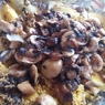 Фотография рецепта Картофельная запеканка с капустой и грибами автор Irina Leinvand
