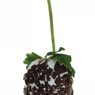Фотография рецепта Клубника в белом шоколаде и темных шоколадных каплях автор Masha Potashova