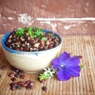 Фотография рецепта Лобио с орехами и мятой автор Luna Poluna