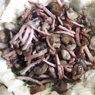 Фотография рецепта Лоранский пирог с брокколи грибами и беконом автор Анна Лаврентьева
