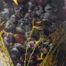 Фотография рецепта Маринованный виноград автор Еда