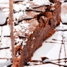 Фотография рецепта Охлажденный шоколадноягодный пирог с орехами пекан автор Masha Potashova