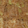 Фотография рецепта Палочки из цукини в золотистой панировке из пармезана автор Ольга Ушакова