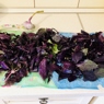Фотография рецепта Песто из фиолетового базилика автор Елена Е
