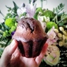 Фотография рецепта Шоколадные кексы с клюквой автор Аня