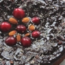 Фотография рецепта Шоколадный торт с миндалем автор Татьяна Грачва