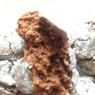Фотография рецепта Шоколадное печенье с трещинками автор Vic Toria