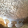 Фотография рецепта Шведский торт Prinsesstrta автор Aleksandra Churkina