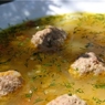 Фотография рецепта Сырный суп с фрикадельками автор victoria melnik