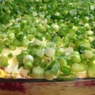 Фотография рецепта Слоеный овощной салат с солеными огурцами автор Денис