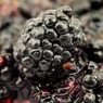 Фотография рецепта Соус из ежевики и неспелого винограда автор Саша Давыденко
