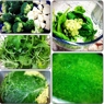 Фотография рецепта Суп пюре из брокколи корня сельдерея и салатной зелени автор Kshu Kshu