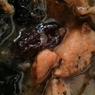 Фотография рецепта Свинина тушеная с черносливом и луком автор Ekaterina Alkaeva