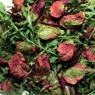 Фотография рецепта Теплый салат из баранины с рукколой свекольными листьями и песто из кинзы и мяты автор Еда