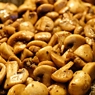 Фотография рецепта Тушеные в мясном бульоне грибы автор Саша Давыденко