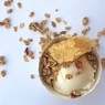 Фотография рецепта Замороженный йогурт с ванилью и медом автор Саша Данилова