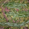 Фотография рецепта Запеченная говядина с картофелем и розмарином автор Eve R