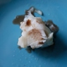 Фотография рецепта Зубатка синяя с соусом наршараб автор v f