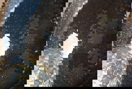 Фото шага рецепта Чебуреки из лаваша и сыра 190865 шаг 5