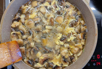 Фото шага рецепта Тушеная курица с грибами и сыром 174534 шаг 11  